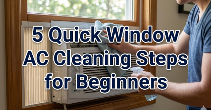 5 Quick Window AC Cleaning Steps for Beginners